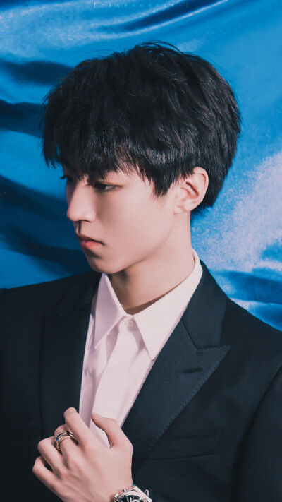 #张保庆回京放肆一下# 深海里的人鱼王子。@TFBOYS-王俊凯 K雾中列车 ​​​​