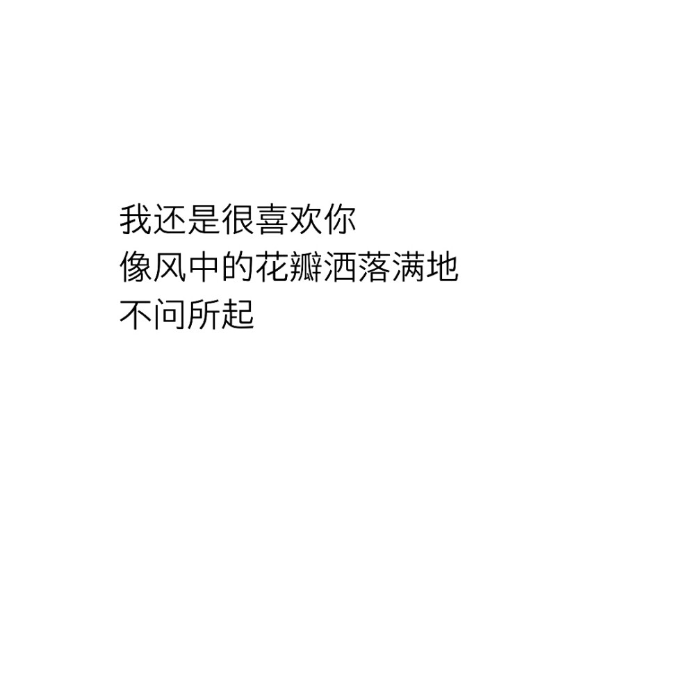 白底黑字2