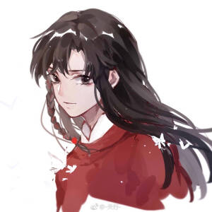 天官赐福 花怜 花城 谢怜【图源见水印】