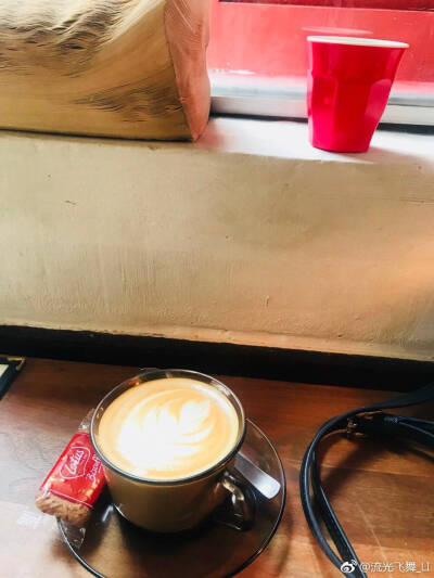 白咖啡(Flat White)。马来西亚土特产，采用特等咖啡豆及特级脱脂奶精原料。
经特殊工艺加工后得到的咖啡，甘醇芳香不伤肠胃。
保留了咖啡原有的色泽和香味，颜色比普通咖啡更清淡柔和，故得名为白咖啡。