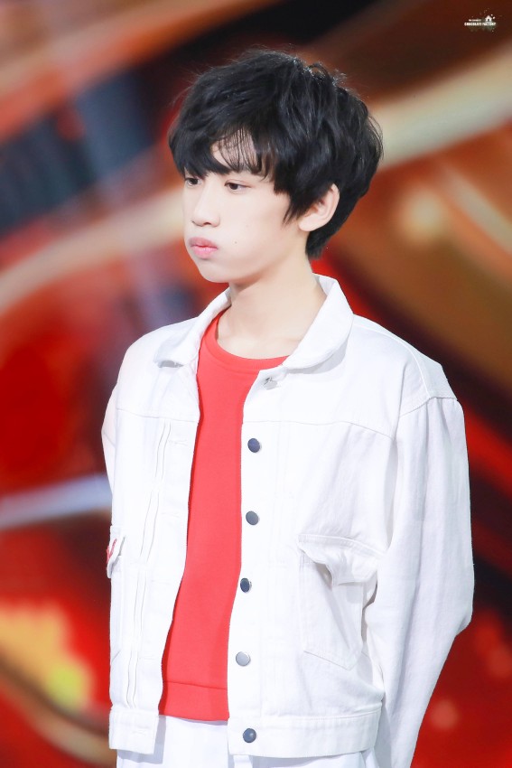 tf家族