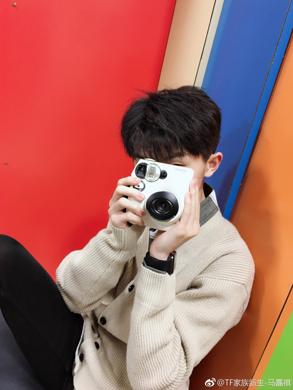 tf家族