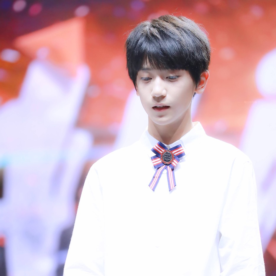 tf家族