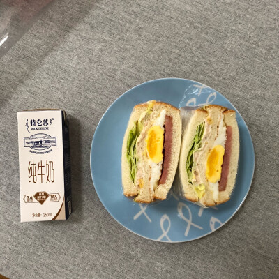 一个人的早餐，豪华金枪鱼三明治。