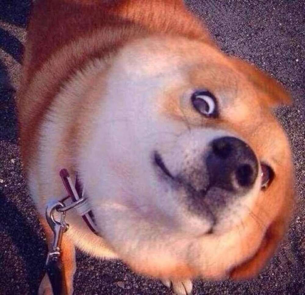 堆糖,美图壁纸兴趣社区