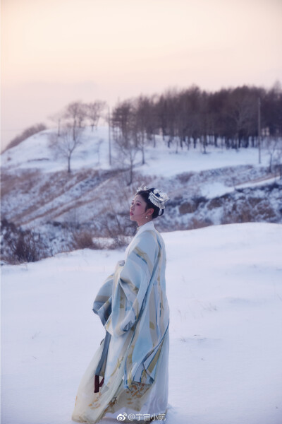 花额上堆翠葆·远山横处星眸·绛宫深锁暮云浮·月破黄昏时候