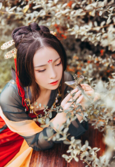 汉服 出镜@暮星兮-