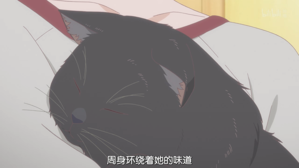 她和她的猫