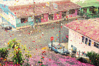 花瓣雨