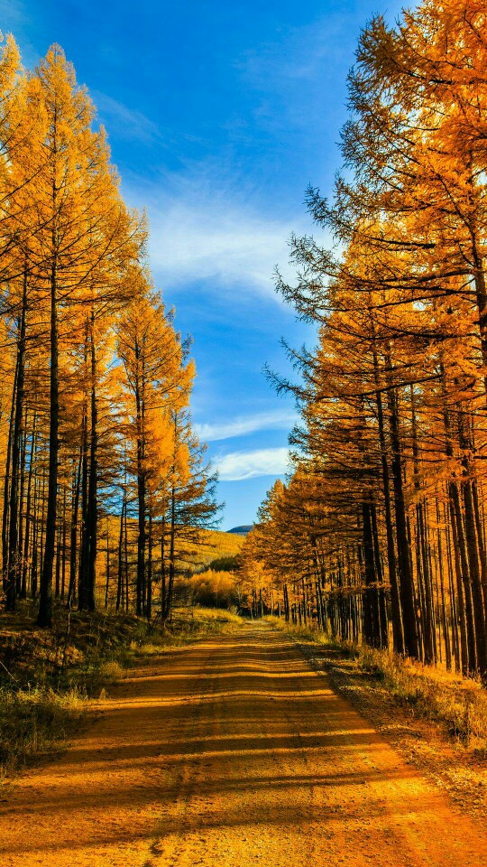 内蒙古 风景壁纸