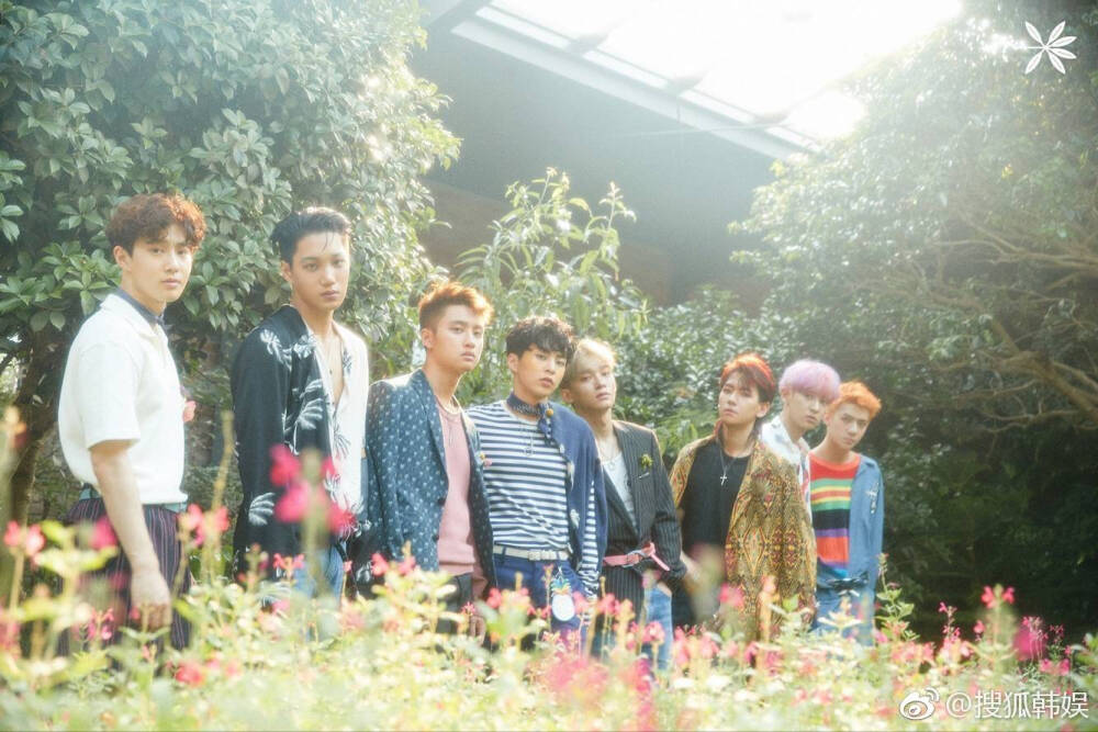 kokobop