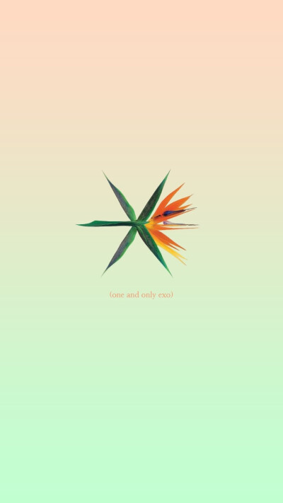 kokobop