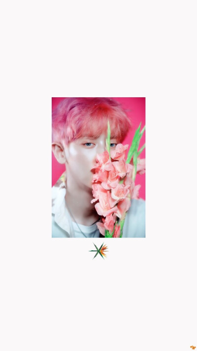 kokobop