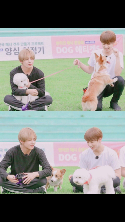 kookv