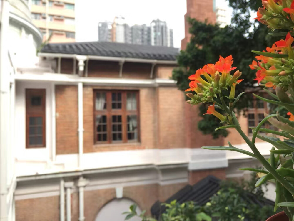 香港大學