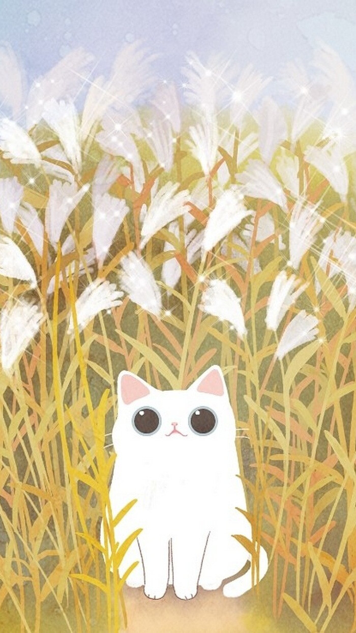 猫咪_插画_壁纸