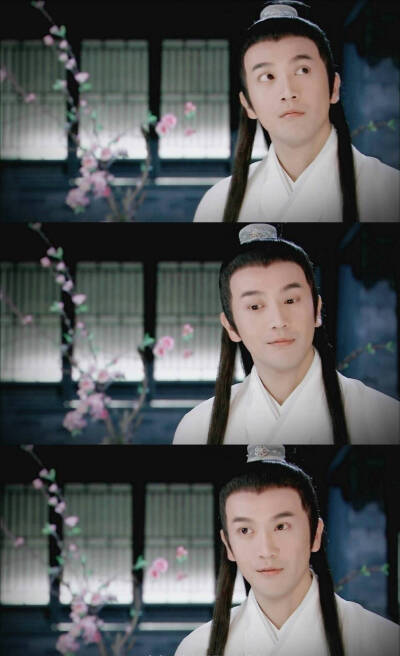 张智尧