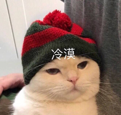 猫表情包可爱