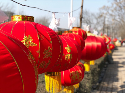 年味 大红灯笼高高挂
新年好彩头 灯笼红通通
西安市 三兆村