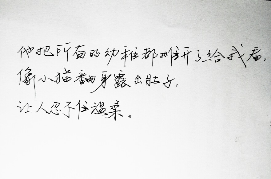 文字句子 手写 情书 安卓壁纸 iPhone壁纸 横屏 歌词 备忘录 白底 钢笔 古风 黑白 闺密 伤感 青春 治愈系 温暖 情话 情绪 明信片 暖心语录 正能量 唯美 意境 文艺 文字控 原创（背景来自网络 侵权删）喜欢请赞 by.VIVEN✔。