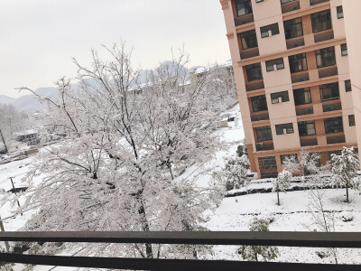 雪