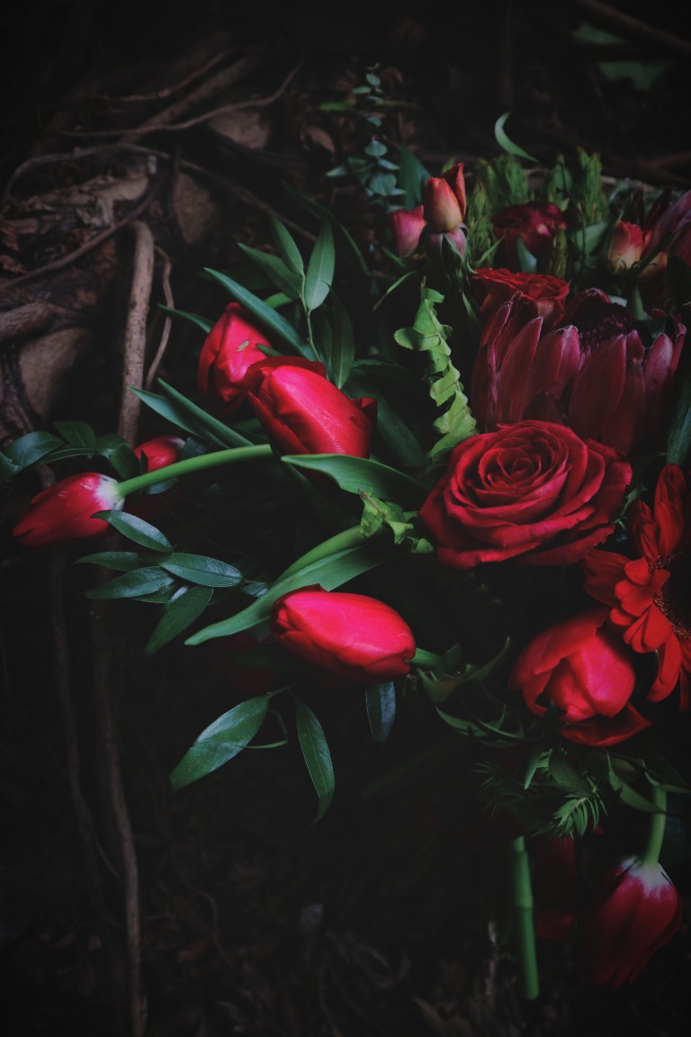 小公主，红玫瑰，红色多头玫瑰，红色郁金香手捧花
