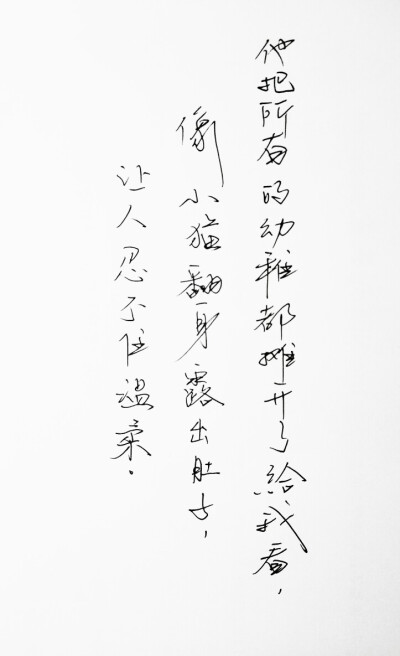 文字句子 手写 情书 安卓壁纸 iPhone壁纸 横屏 歌词 备忘录 白底 钢笔 古风 黑白 闺密 伤感 青春 治愈系 温暖 情话 情绪 明信片 暖心语录 正能量 唯美 意境 文艺 文字控 原创（背景来自网络 侵权删）喜欢请赞 by.VI…