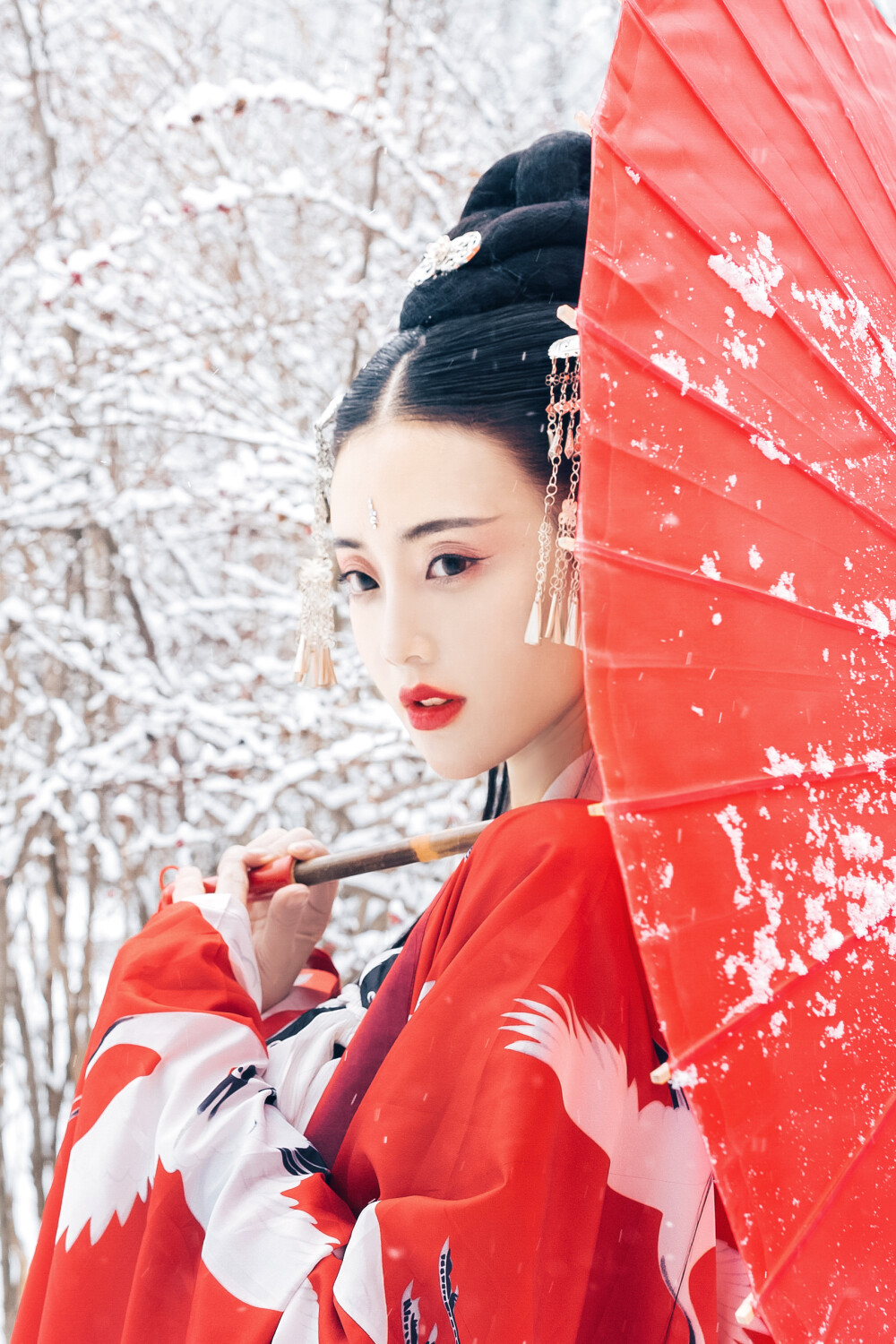 生年里醒时醉时，为谁而痴，红梅白雪知。摄影：小欣欣