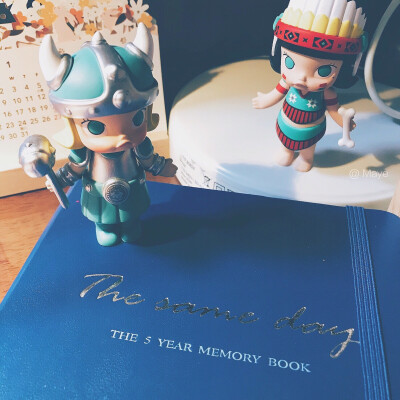 the 5 year memory book～坚持记录