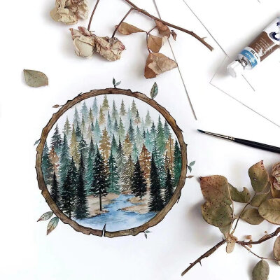 加拿大插画师Rosa作品 圆形 水彩 风景 树林