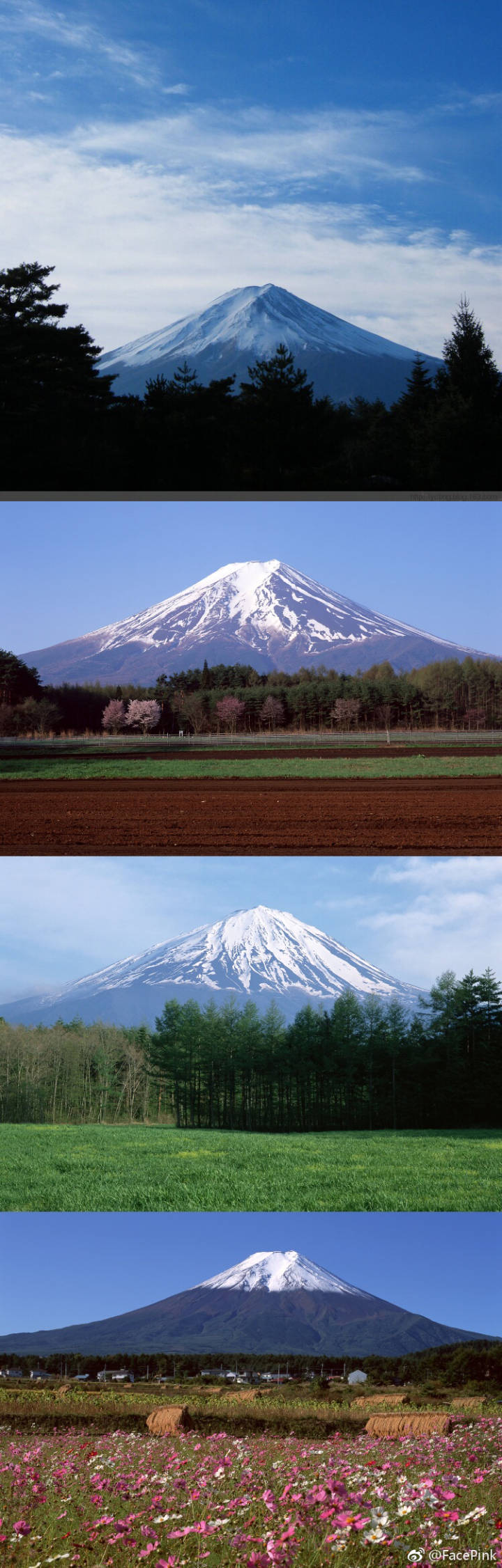 富士山 日本是个美丽的地方