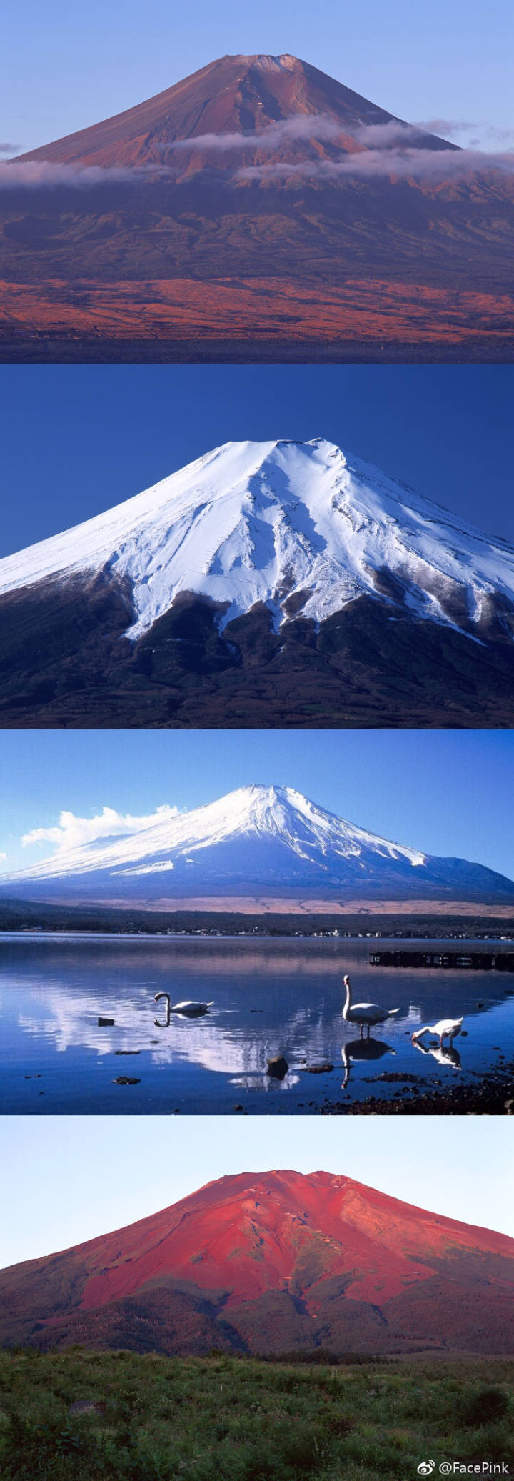 富士山 日本是个美丽的地方