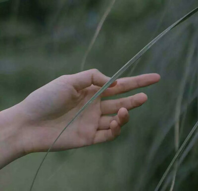 有些事情，
你能想通，
也能接受，
但还是会难过。