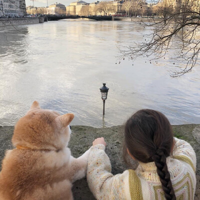 抱着柴犬的头像图片