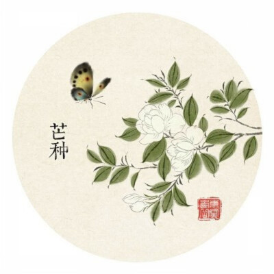 东溟崇岳 · 二十四节气花卉系列插画－芒种
