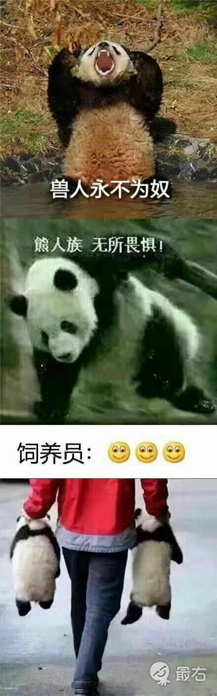 哈哈哈可以的