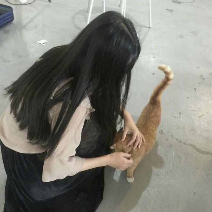 猫和女孩 背影 女头