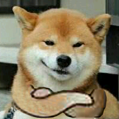 表情包