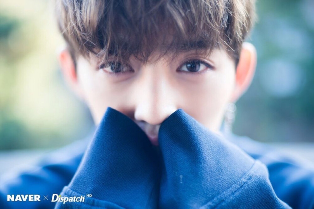 seventeen S.coups