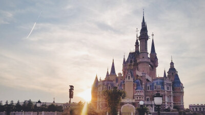 Disneyland·Shanghai