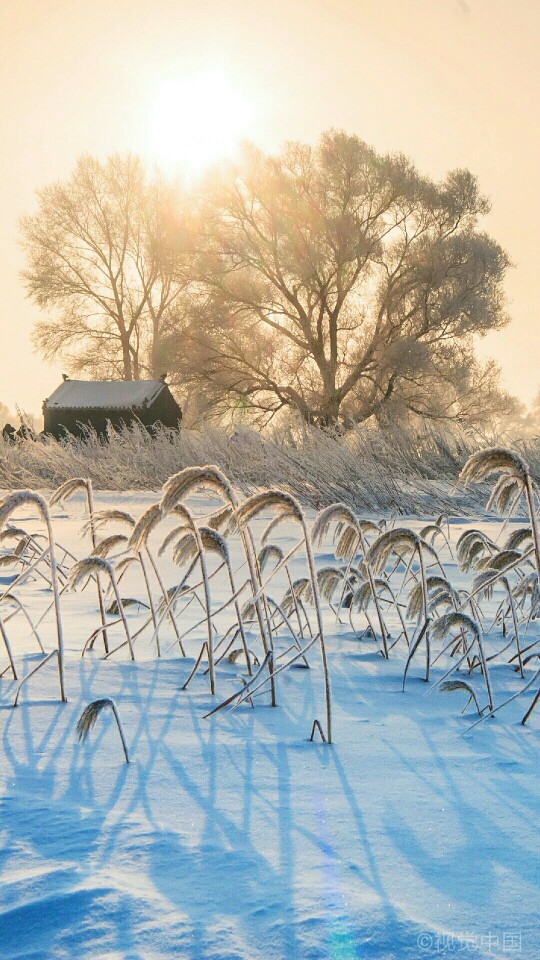 松花江雾凇岛