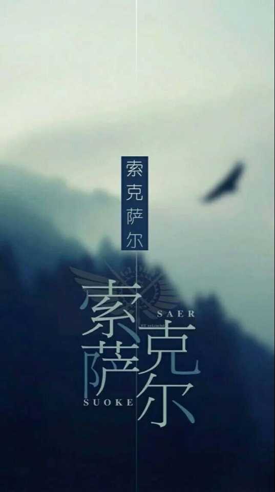 『全职高手』『君莫笑』『一枪穿云』『王不留行』『索克萨尔』