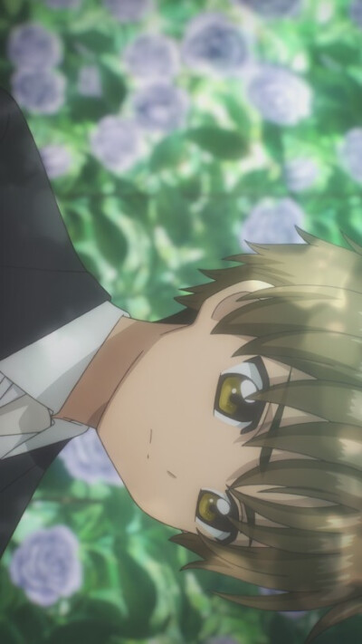 壁纸，自截自滤，樱和小狼～