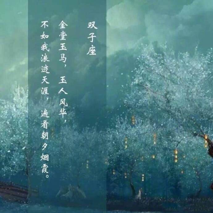 一个星座一句诗
双子座