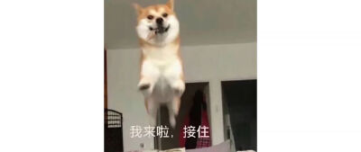 我来啦