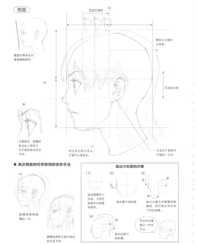 动漫教程