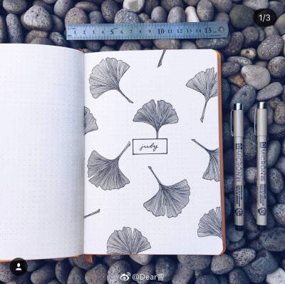 bujo
▪️ιиѕ：junjournals 