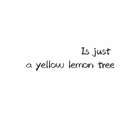 《lemon tree》老歌