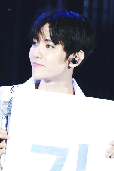 边伯贤 三巡The EXO'rDIUM