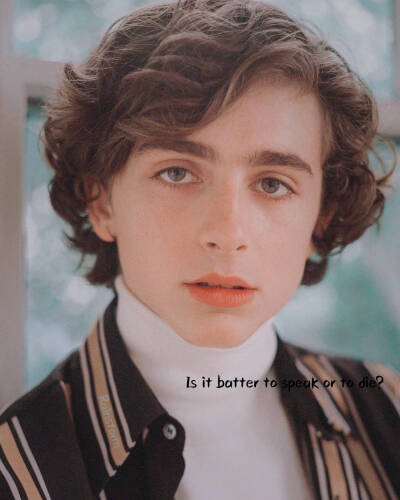 蒂莫西·柴勒梅德Timothée Chalamet，甜茶，头像，壁纸cr @Rainstorm-暴雨